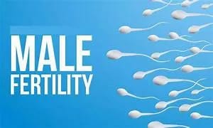 Ayurvedic care for male fertility health
